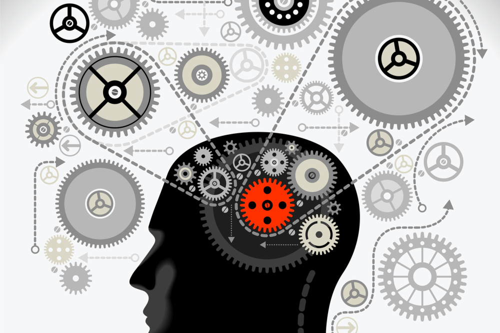 Image of the functioning of the brain, a critical component in understanding neurodiversity.