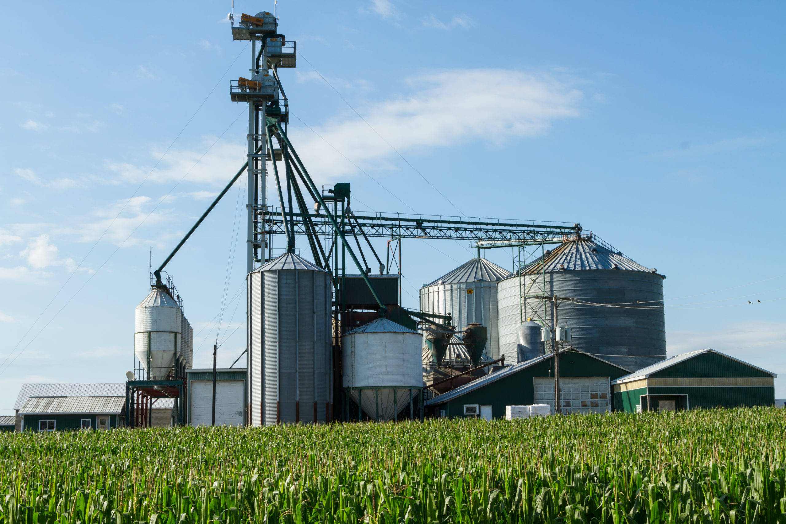 Grain Silo in the background of a corn field