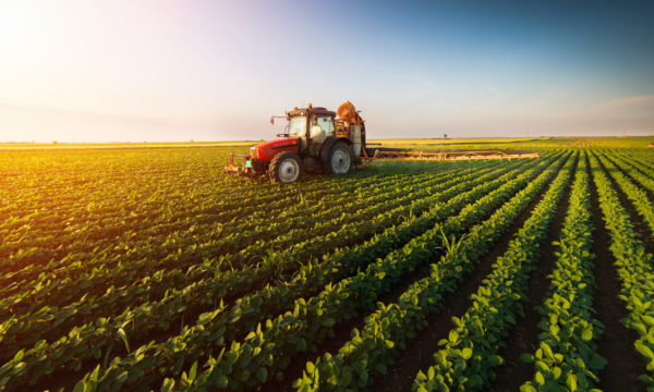 Air Bearings and Agriculture: How Porous Media Can Revolutionize Farming and Produce Transport