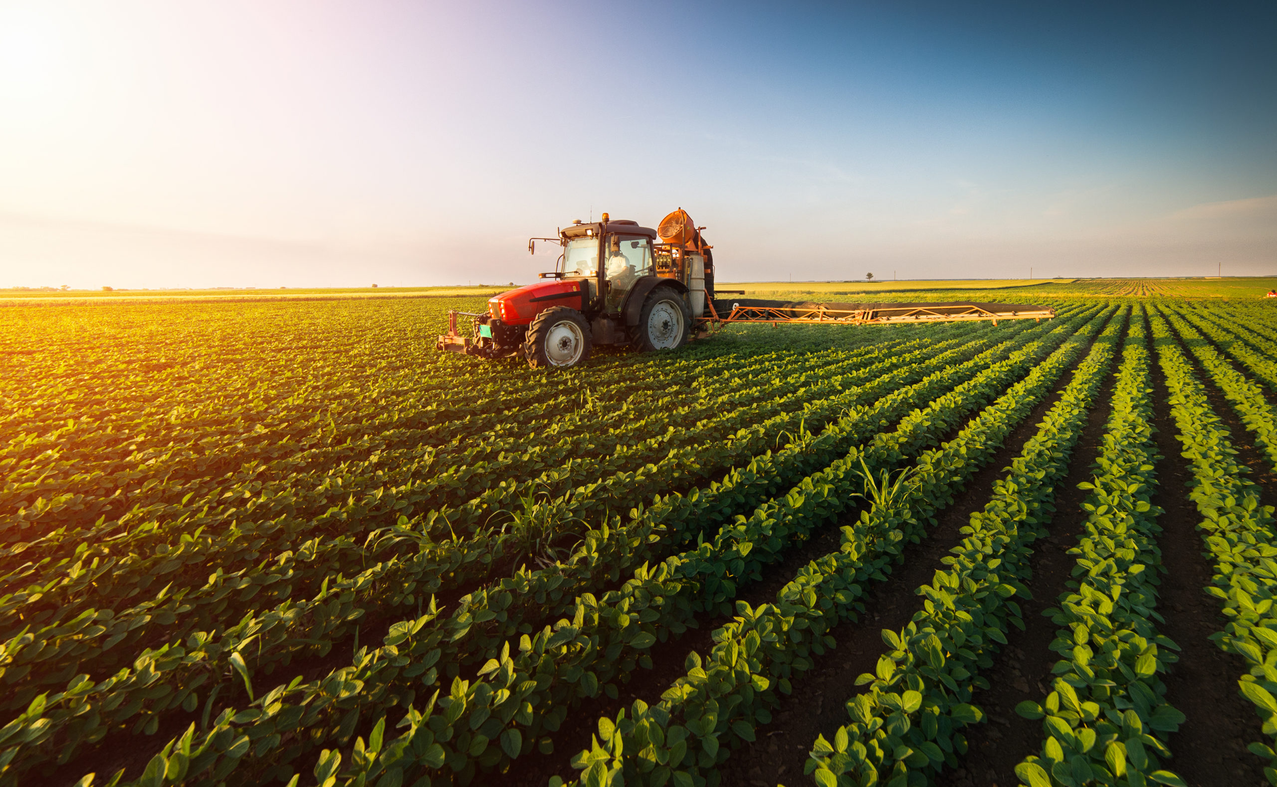 Tractor spraying pesticide on a field